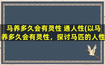 马养多久会有灵性 通人性(以马养多久会有灵性，探讨马匹的人性化培养)